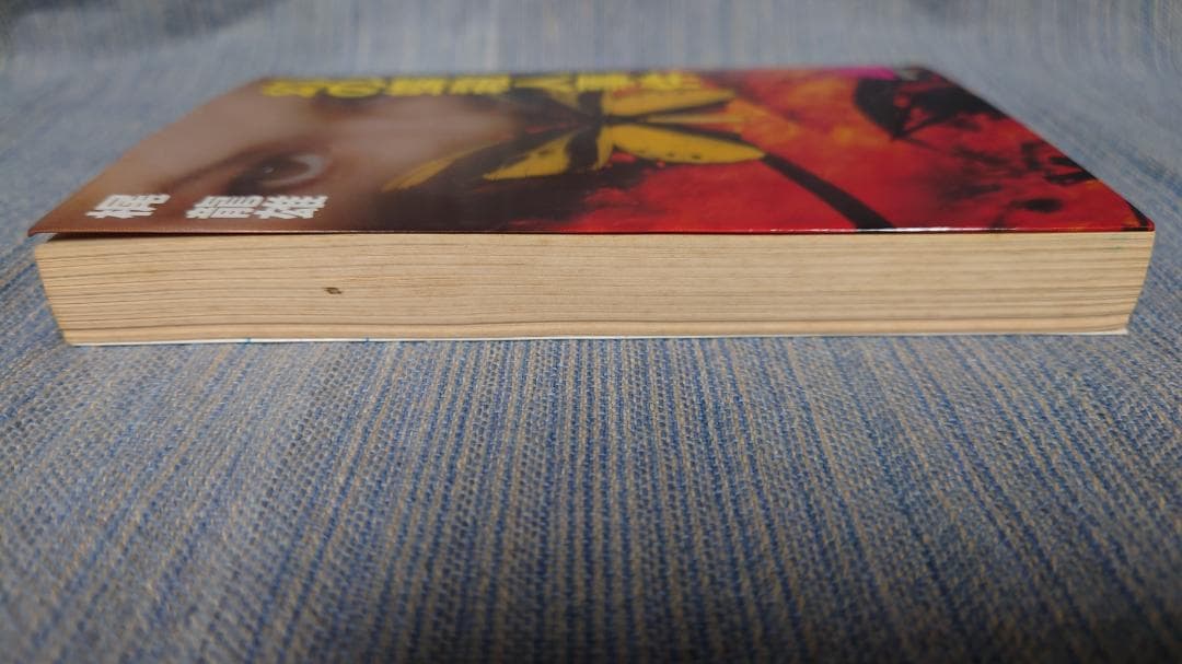 【シミあり】　初版　梶龍雄　幻の蝶殺人事件