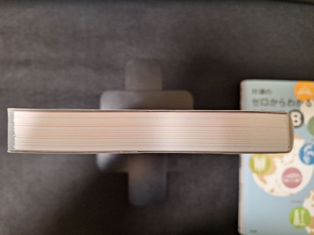 【ほぼ未使用・書き込み無し】村瀬のゼロからわかる地理B（2冊セット）