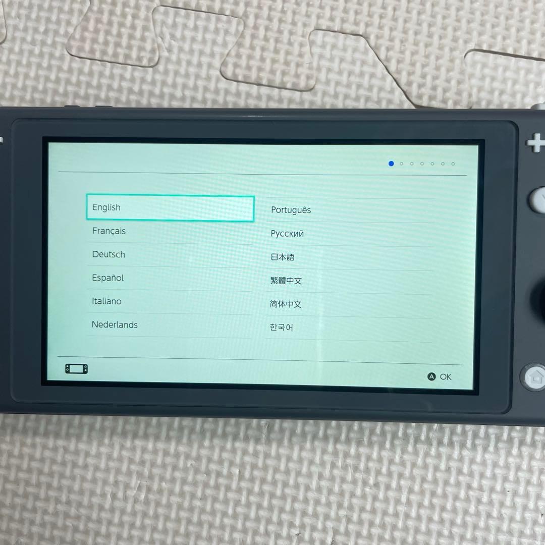 ◯Nintendo Switch Lite グレー 本体 アダプター ケース 付