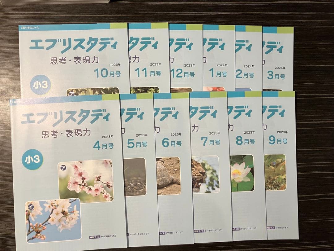 Z会　小3 エブリスタディ（ハイレベル）、思考・表現力