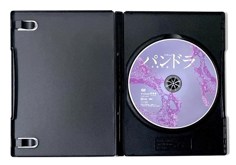 廃盤 セル盤 DVD ドラマWスペシャル パンドラ ～永遠の命～