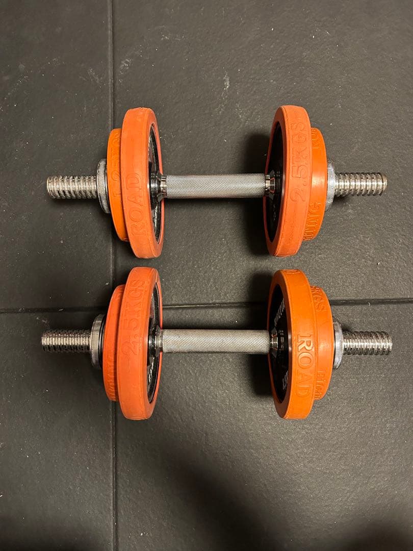 ファイティングロード　ダンベル 10kg 2セット