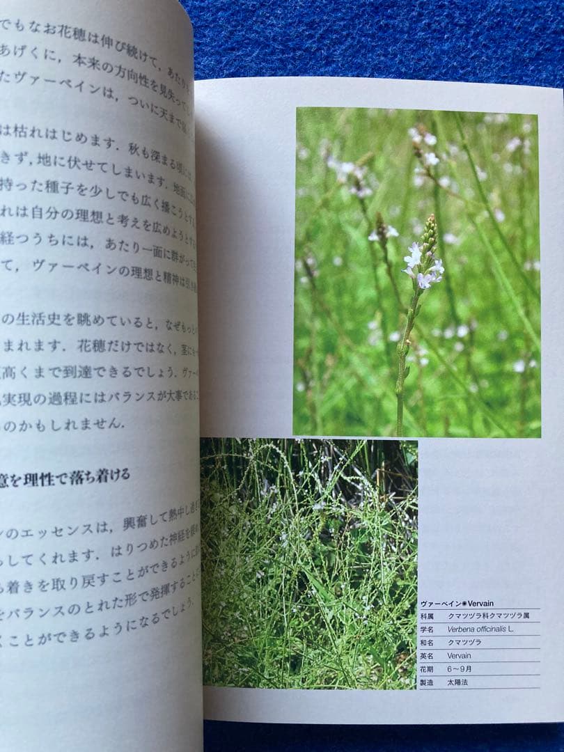 バッチフラワー花と錬金術　東 昭史