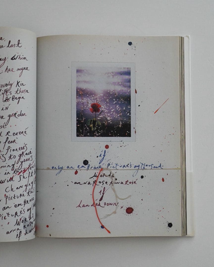 【絶版】Mark Borthwick / The Heart Land 美本