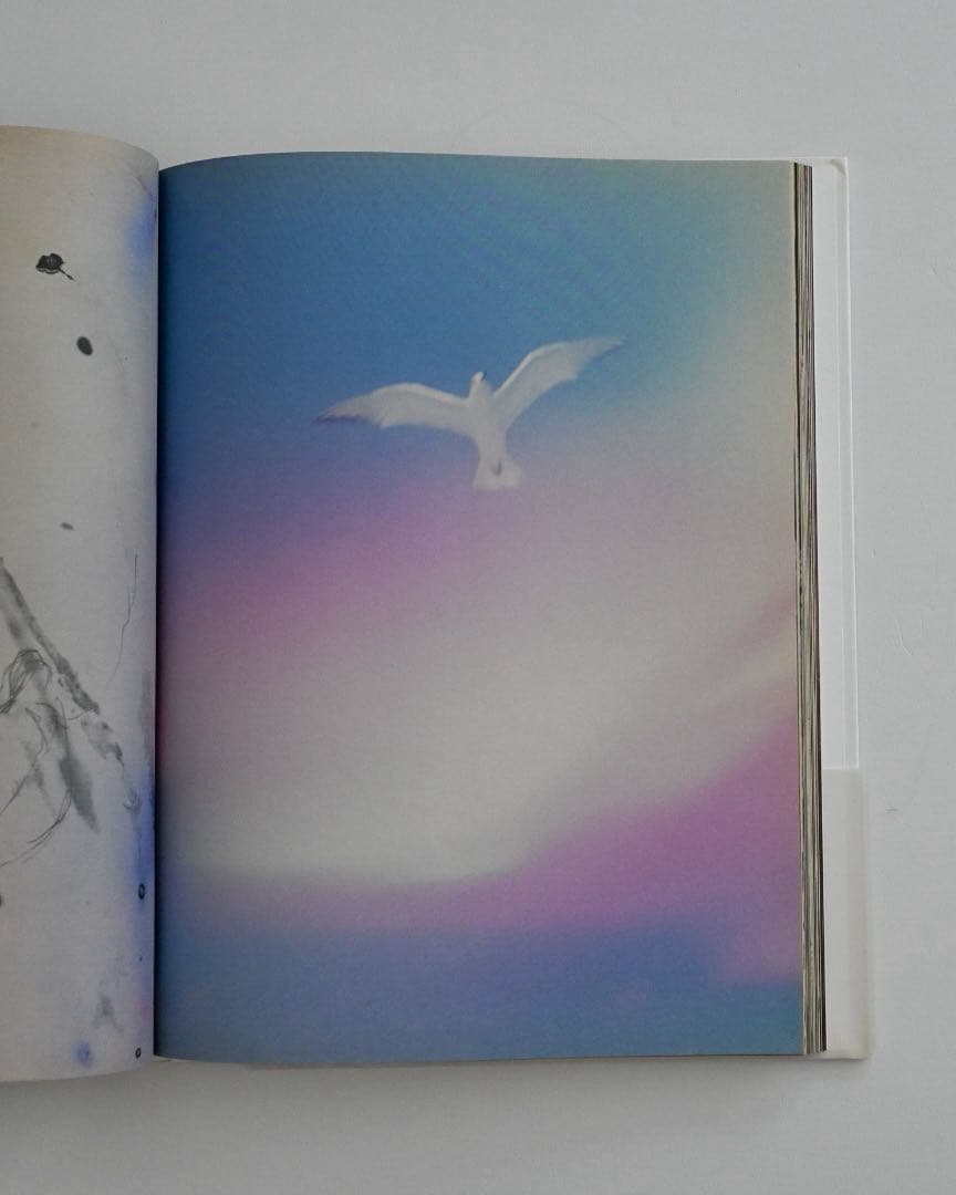 【絶版】Mark Borthwick / The Heart Land 美本