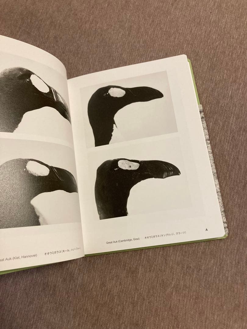 ヨヘン・レンペルト写真集「Field Guide」イズフォトミュージアム