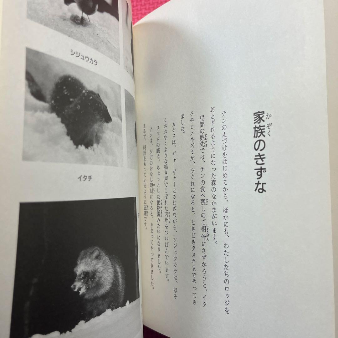 テンはロッジのお客さん