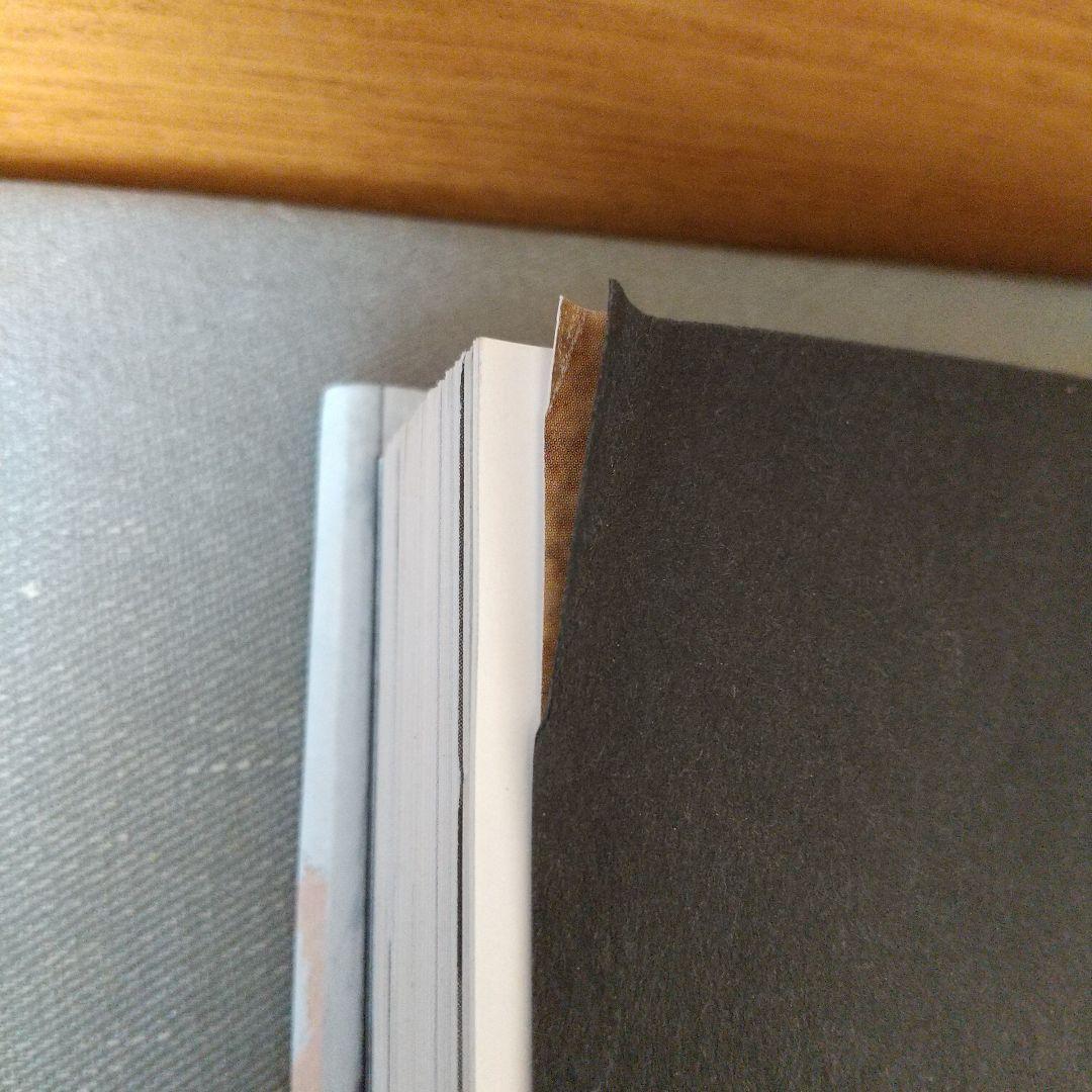 Basquiat ハードカバー 英語版 jc01