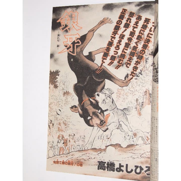 週刊少年ジャンプ1985年16号/カラー/シティーハンター/銀牙