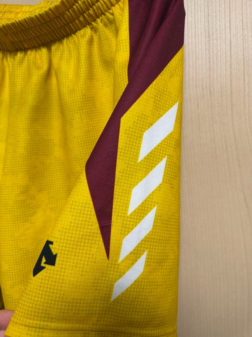 星城高校バレー部 インターハイ出場記念短パン