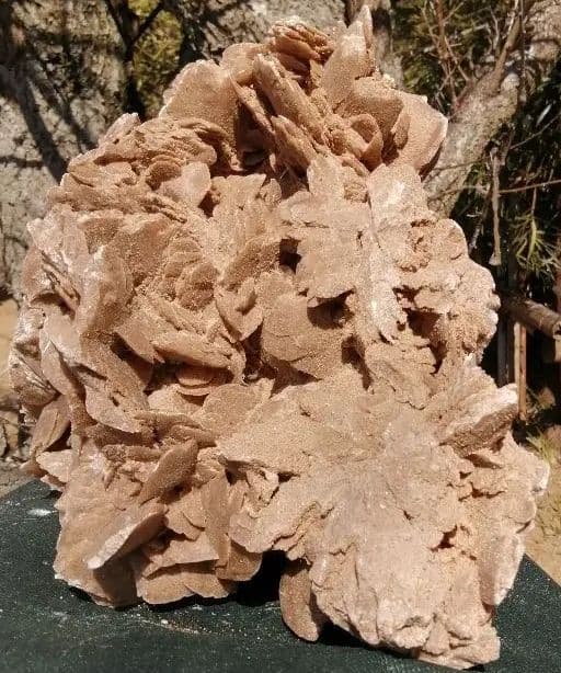 デザートローズ（砂漠の薔薇）原石 9.9kg ーtotー003