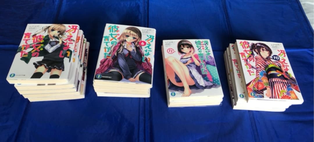 美品‼️ SALE!! 冴えない彼女の育てかた/1〜13/GS1〜3/FD 17冊