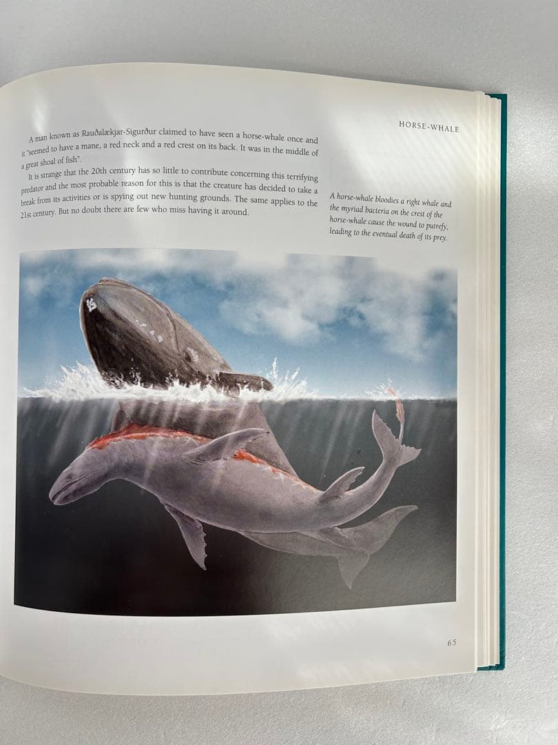 【超希少】 Meeting with Monsters 幻獣図鑑 アートブック