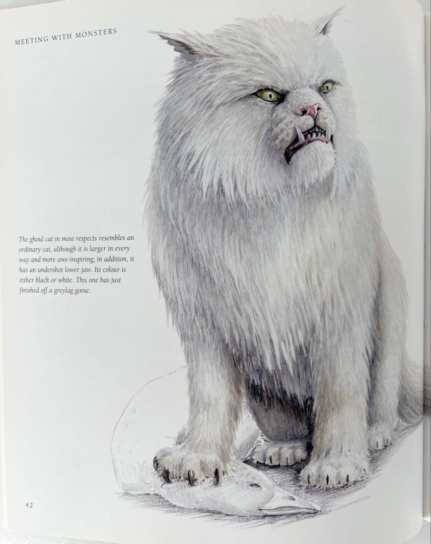 【超希少】 Meeting with Monsters 幻獣図鑑 アートブック