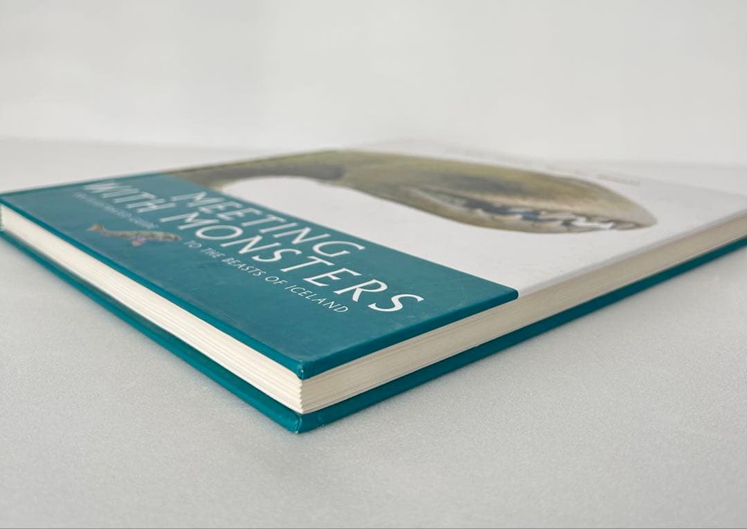 【超希少】 Meeting with Monsters 幻獣図鑑 アートブック