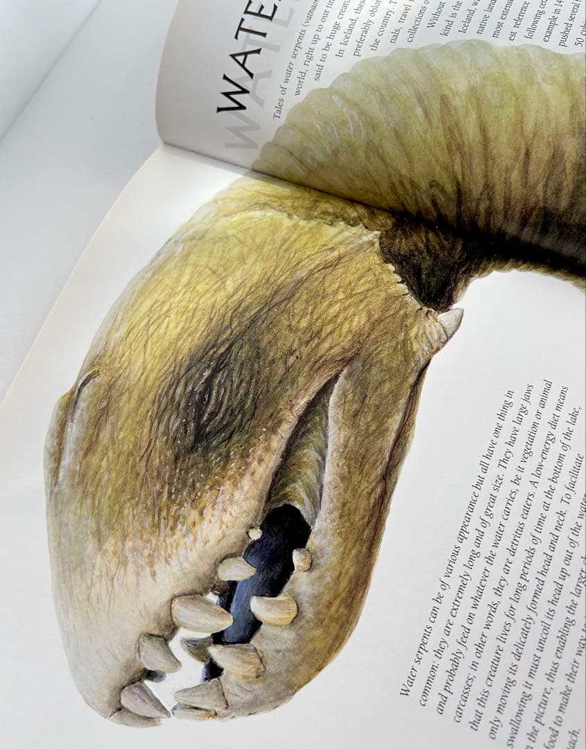 【超希少】 Meeting with Monsters 幻獣図鑑 アートブック