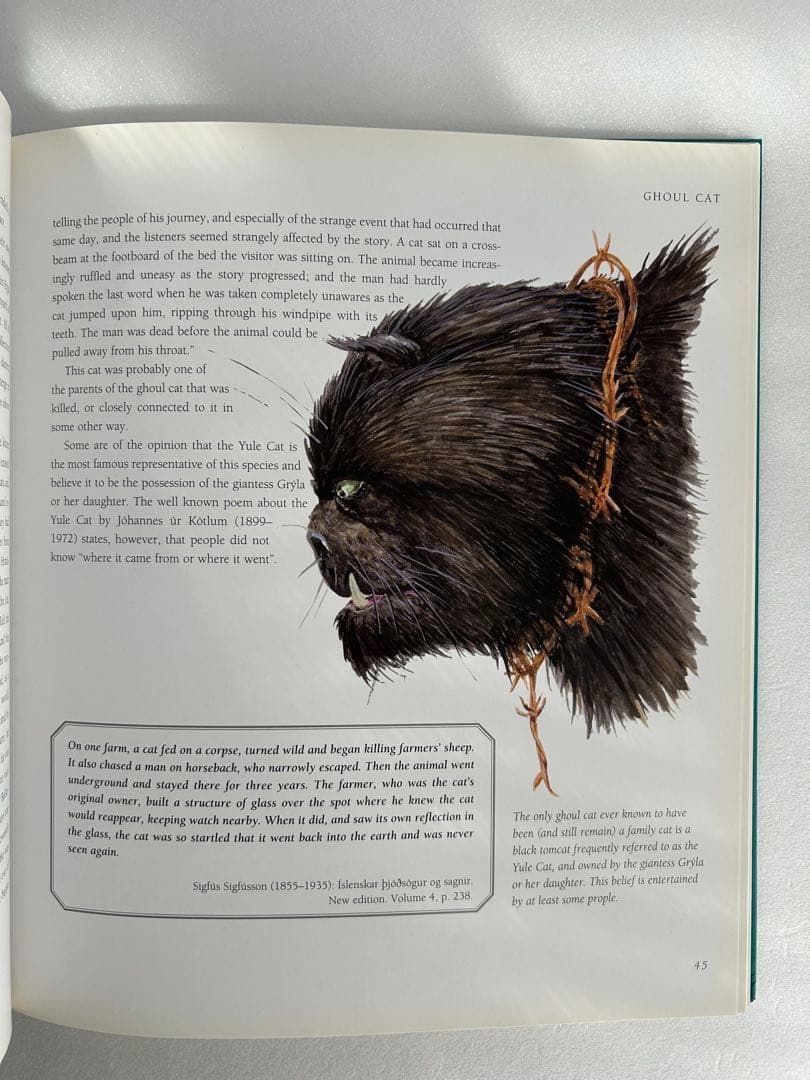 【超希少】 Meeting with Monsters 幻獣図鑑 アートブック