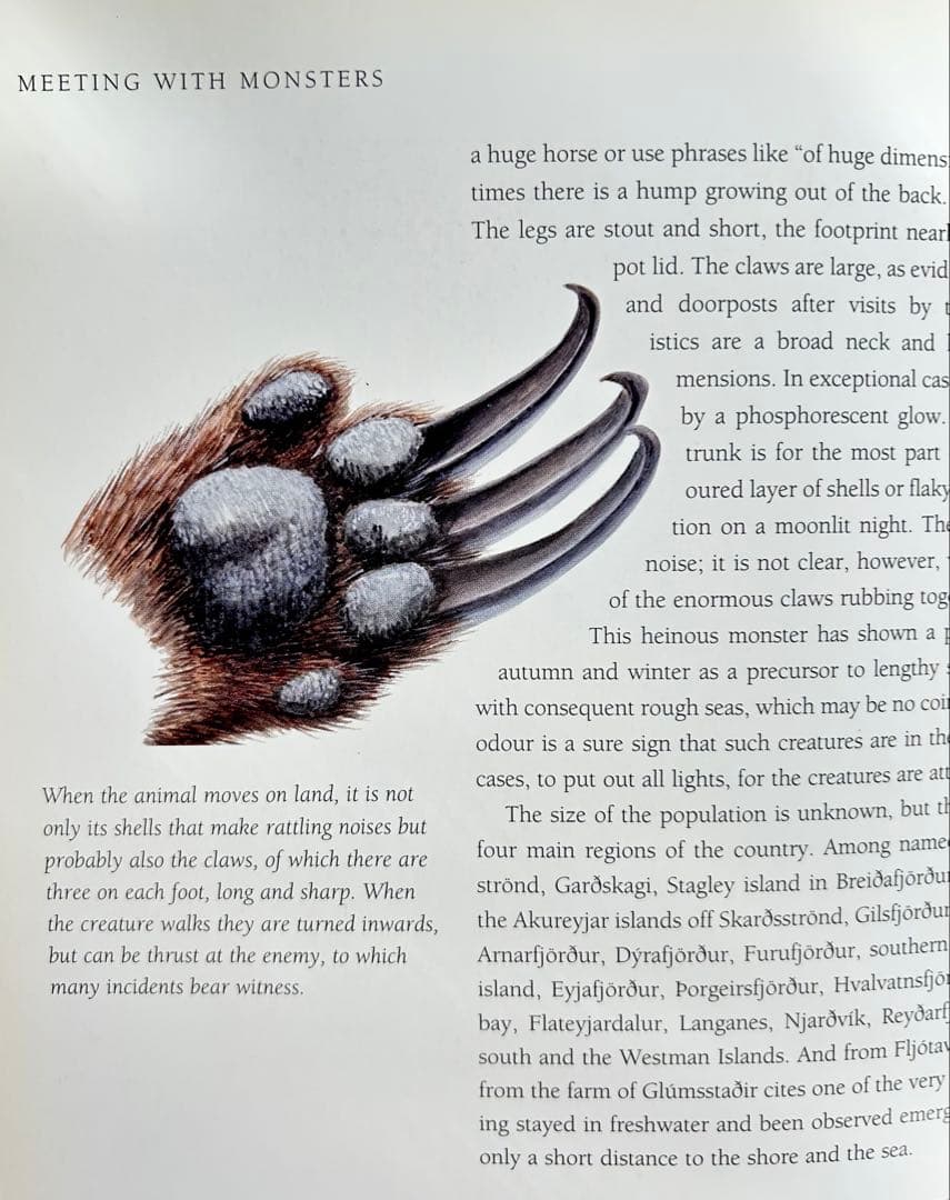 【超希少】 Meeting with Monsters 幻獣図鑑 アートブック