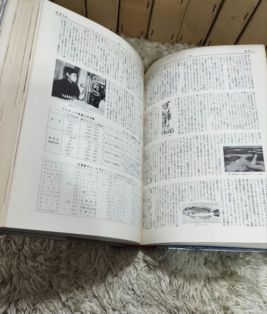 小学館 日本百科大辞典 全20巻