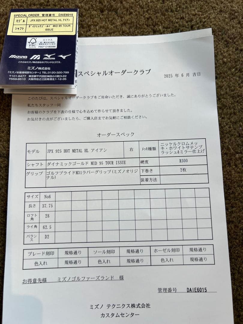 ミズノJPX925HOTL HL 6本セット DG95MID