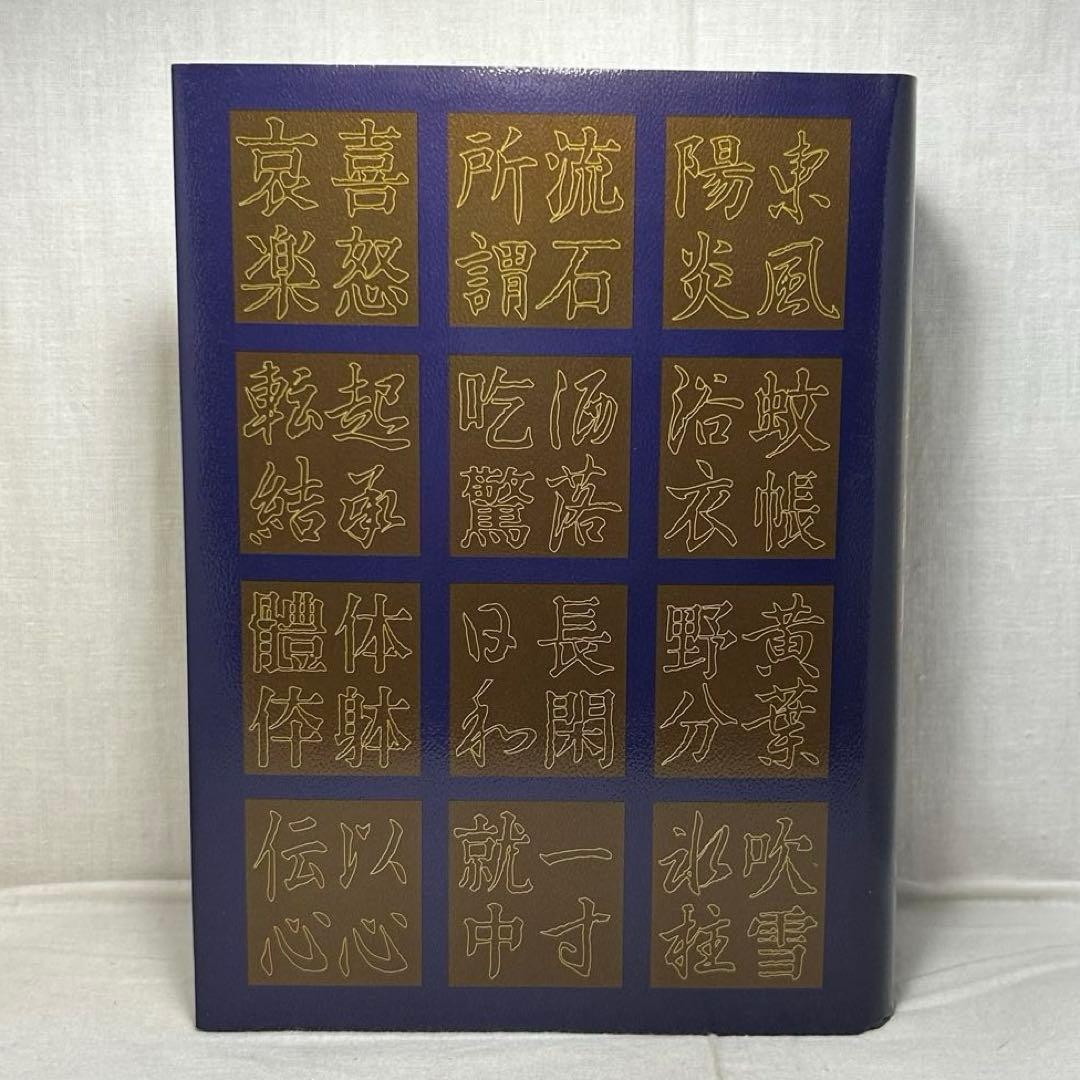 新潮日本語漢字辞典/創立110周年記念出版/2007年