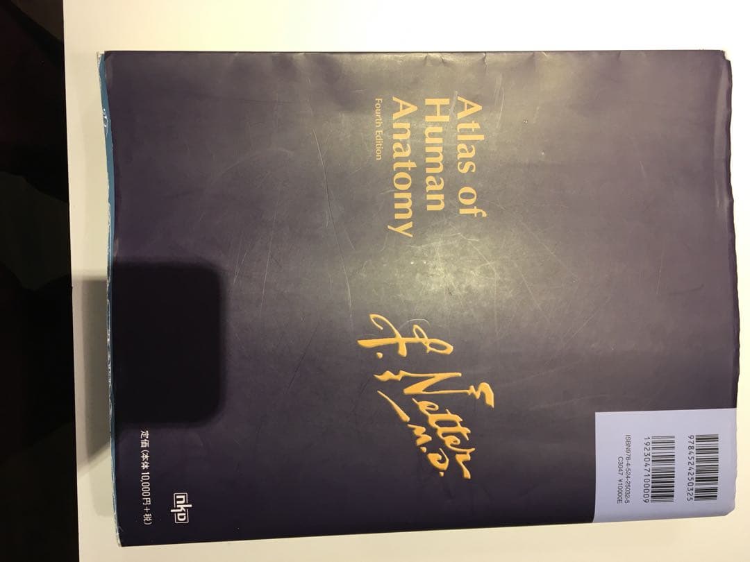 ネッター 解剖学