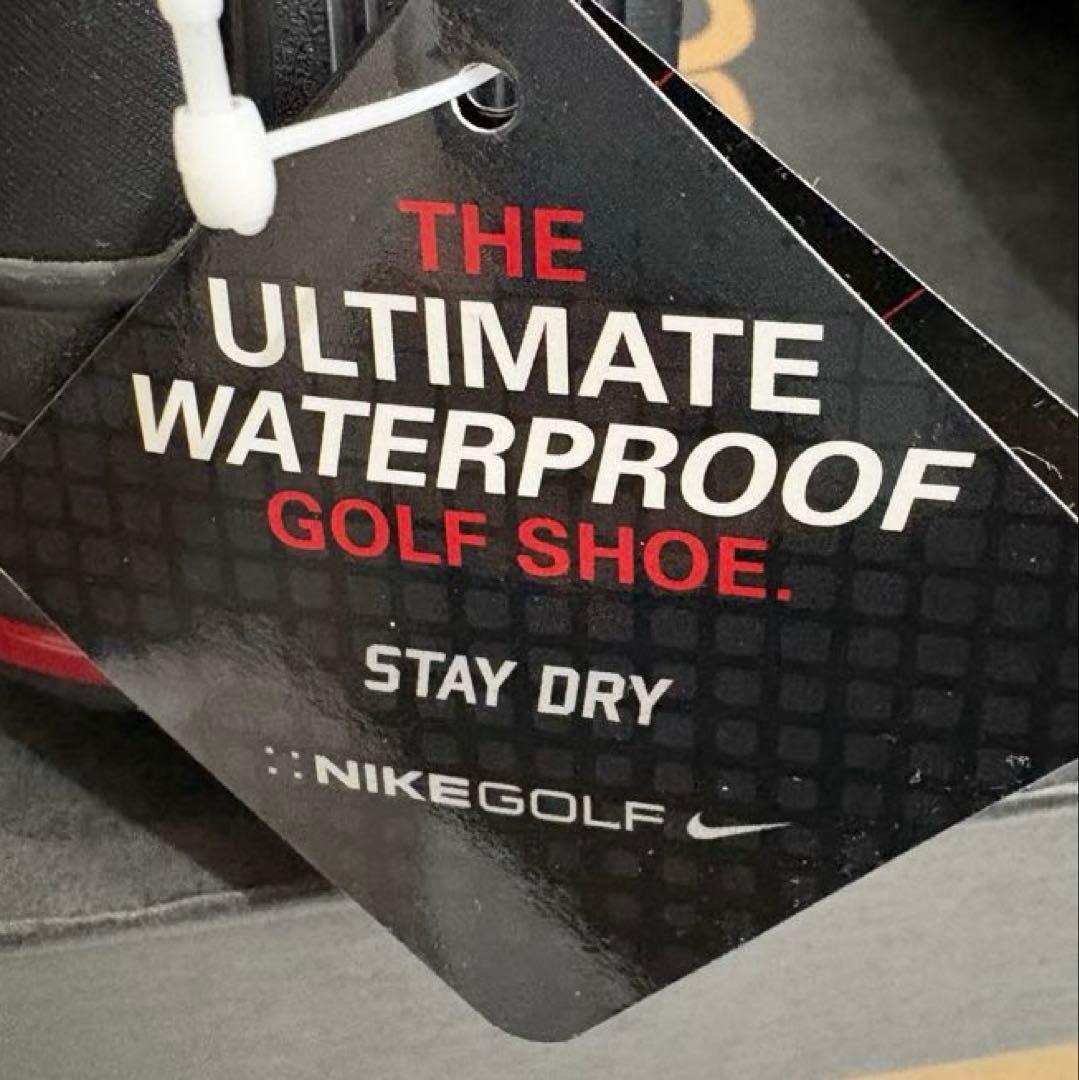 NIKE ZOOM BRANDON GOLF ナイキ ズーム バンドン ゴルフ