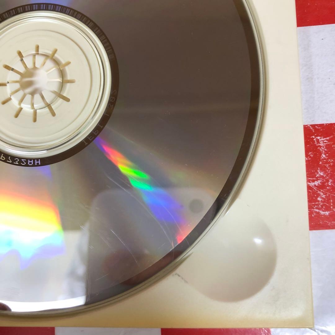 【Z21694】ZARD/ザード・ブレンド～サン&ストーン