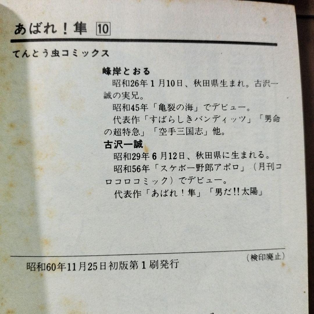 あばれ！隼 全10巻セット（全巻初版）