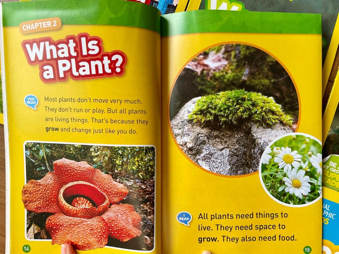 新品National Geographic Kids L1/46冊英語絵本　洋書