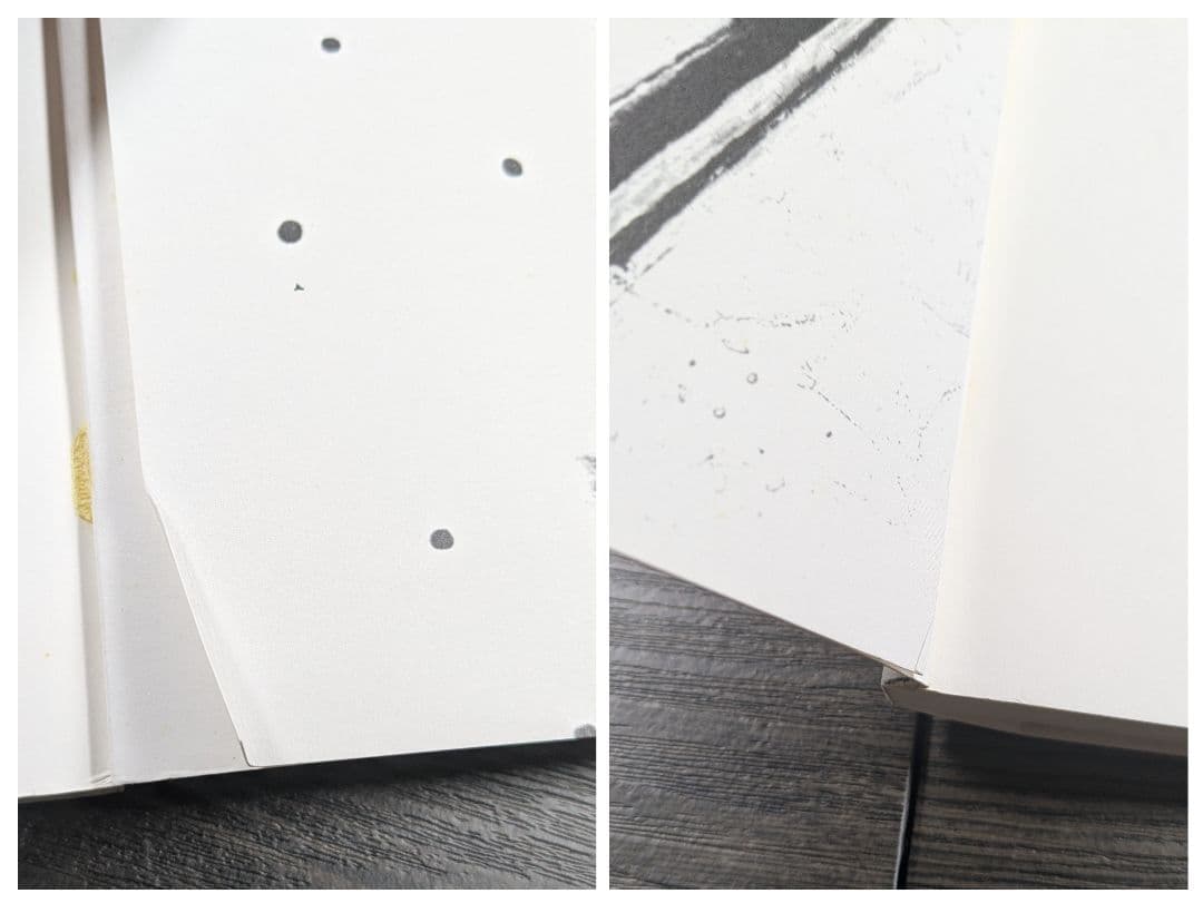 洋書　ジャスパー・ジョーンズ Jasper Johns The Seasons