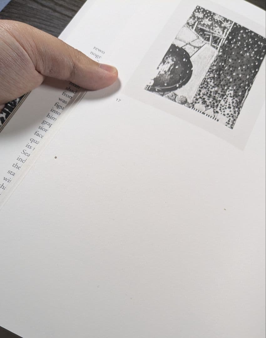 洋書　ジャスパー・ジョーンズ Jasper Johns The Seasons