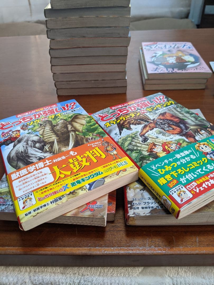 どっちが強い!?／最強王図鑑シリーズ /その他まとめ売り 全21冊セット