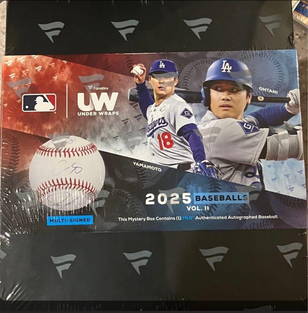 【直筆サインボール】マルセロ・マイヤー/Marcelo Mayer