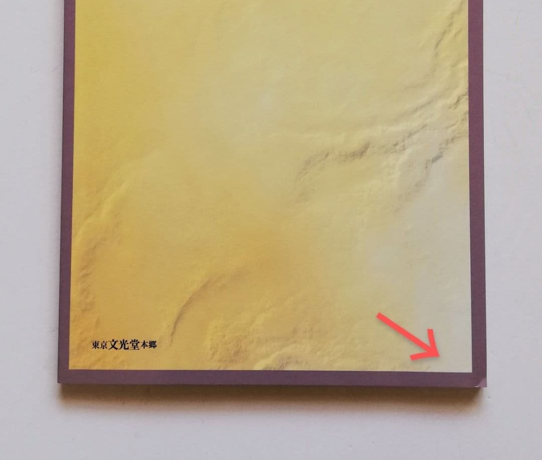 b0. 眼科学／丸尾敏夫(編者),本田孔士(編者),臼井正彦(編者),田野保雄