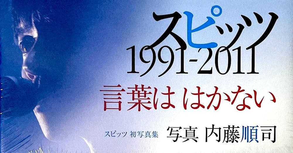 新品未開封 絶版 スピッツ 内藤順司 言葉ははかない : 1991～2011