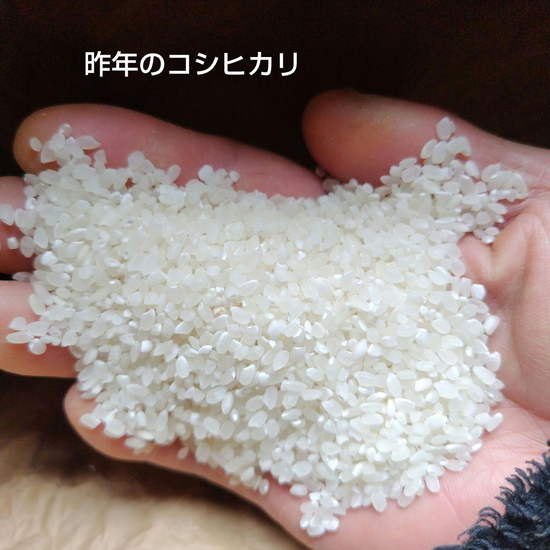 令和6年　箱も入れて10kg以下で！