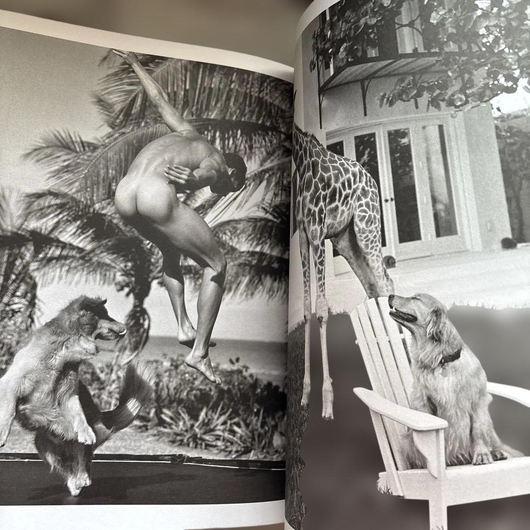 洋書 GOLDEN RETRIEVER PHOTOGRAPHIC SOCIEYT