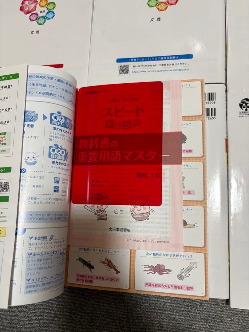 中学　1年　教科書ワーク　未記入