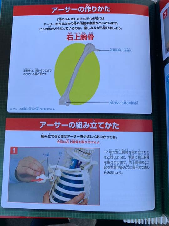 ディアゴスティーノ　体のふしぎ全巻