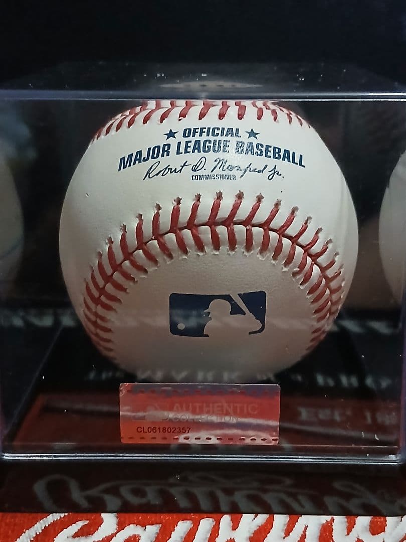 3選手 大谷翔平 山本由伸 佐々木朗希　直筆サインボール　ドジャース　ケース付き