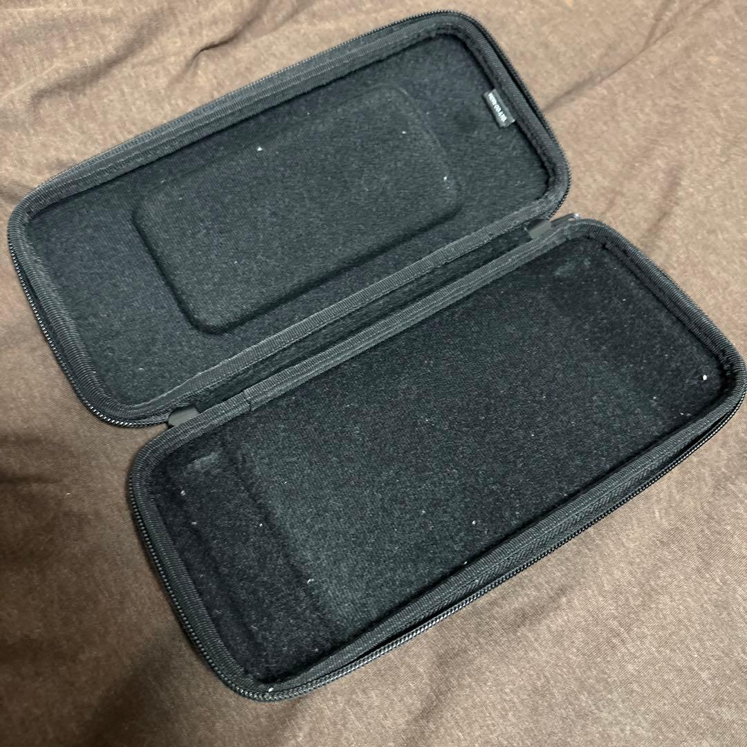 Nintendo Switch ケース付き ストア限定版