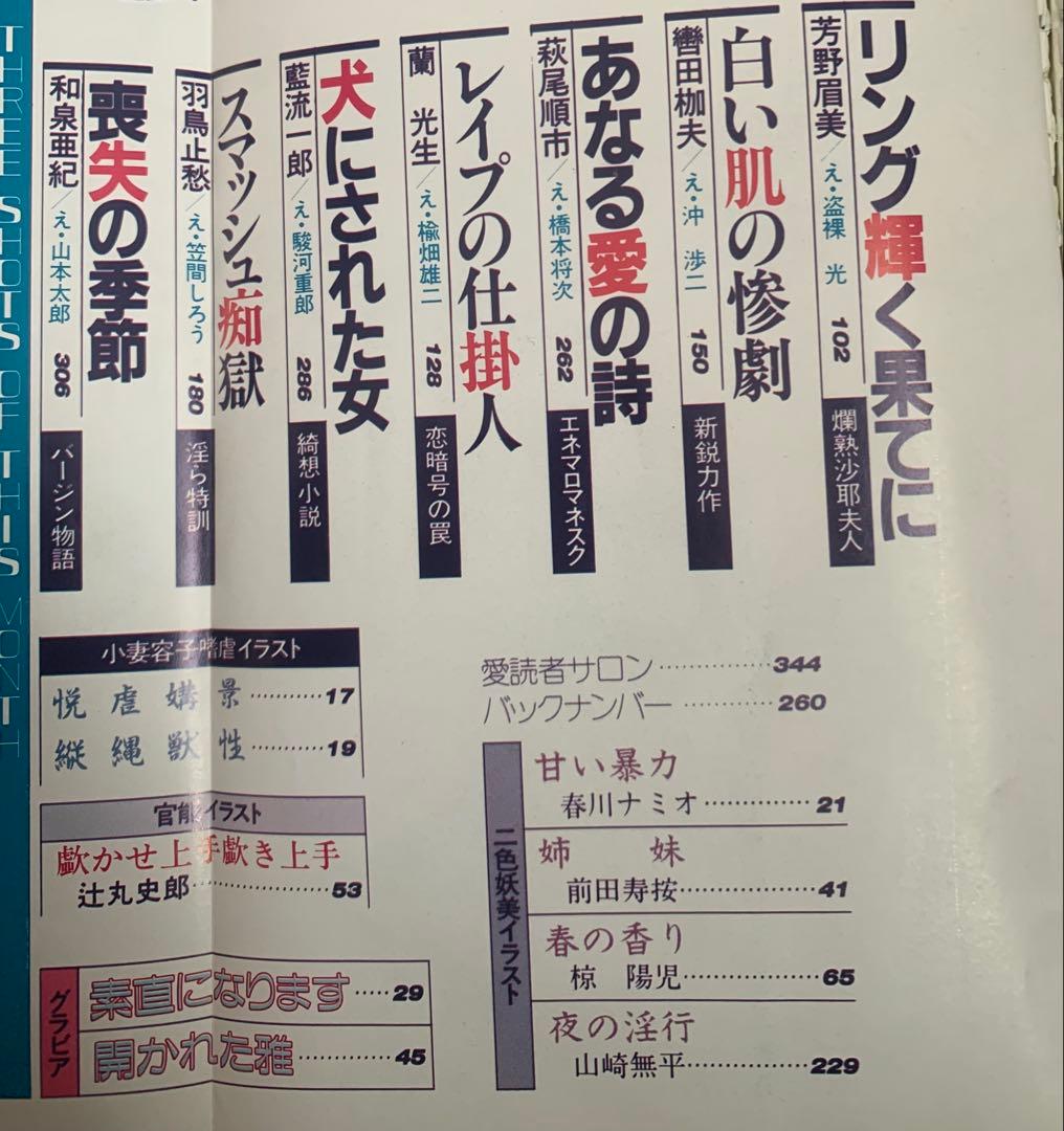 SM秘小説　86.1 86.4 2冊セット