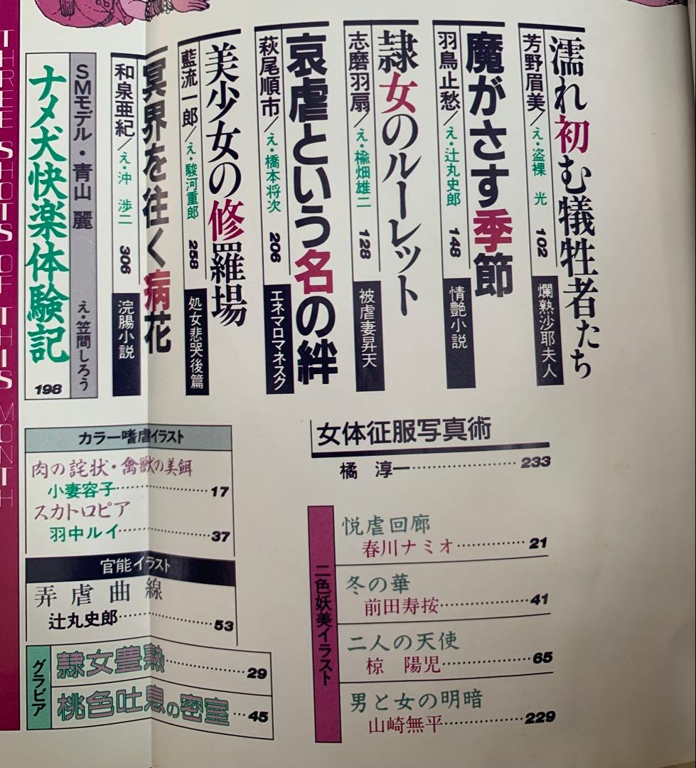 SM秘小説　86.1 86.4 2冊セット