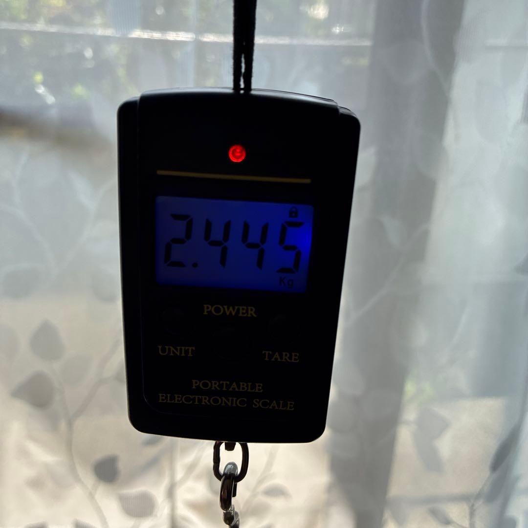 お値下げ！シングルスピードバイク　ピスト　フレームセット　中古品