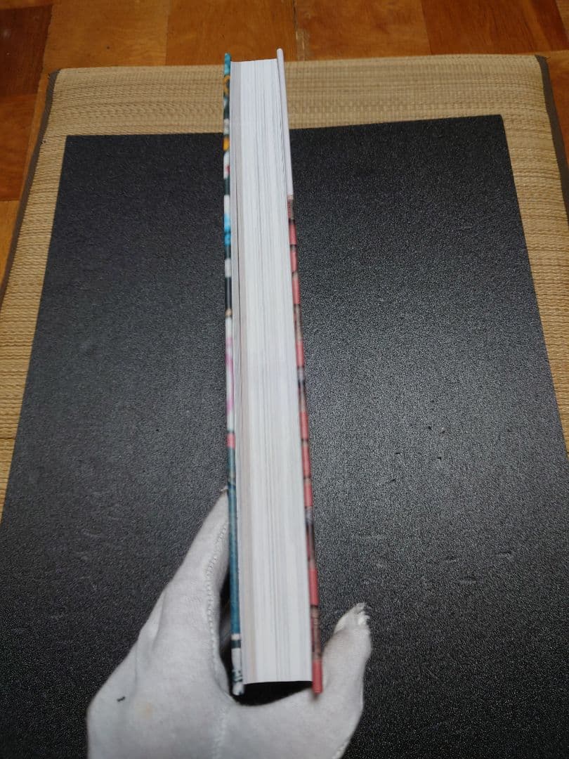 My Freedamn! 8・9・10　マイフリーダム