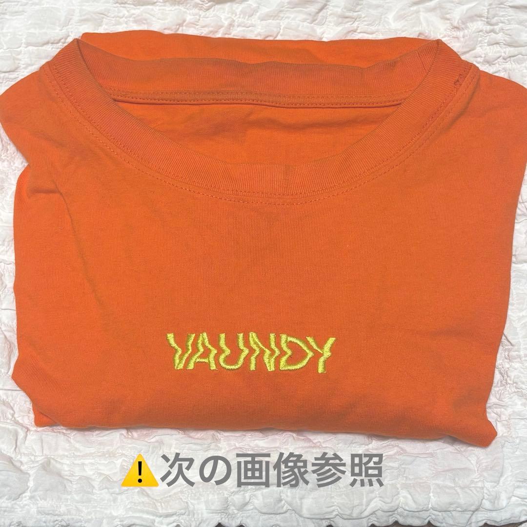 Vaundy ピンズ ステッカー CD 雑誌 うちわ キーホルダー