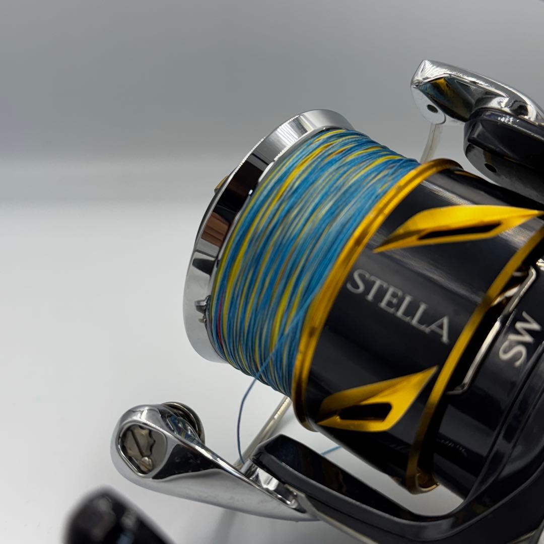 19ステラ SW10000PG