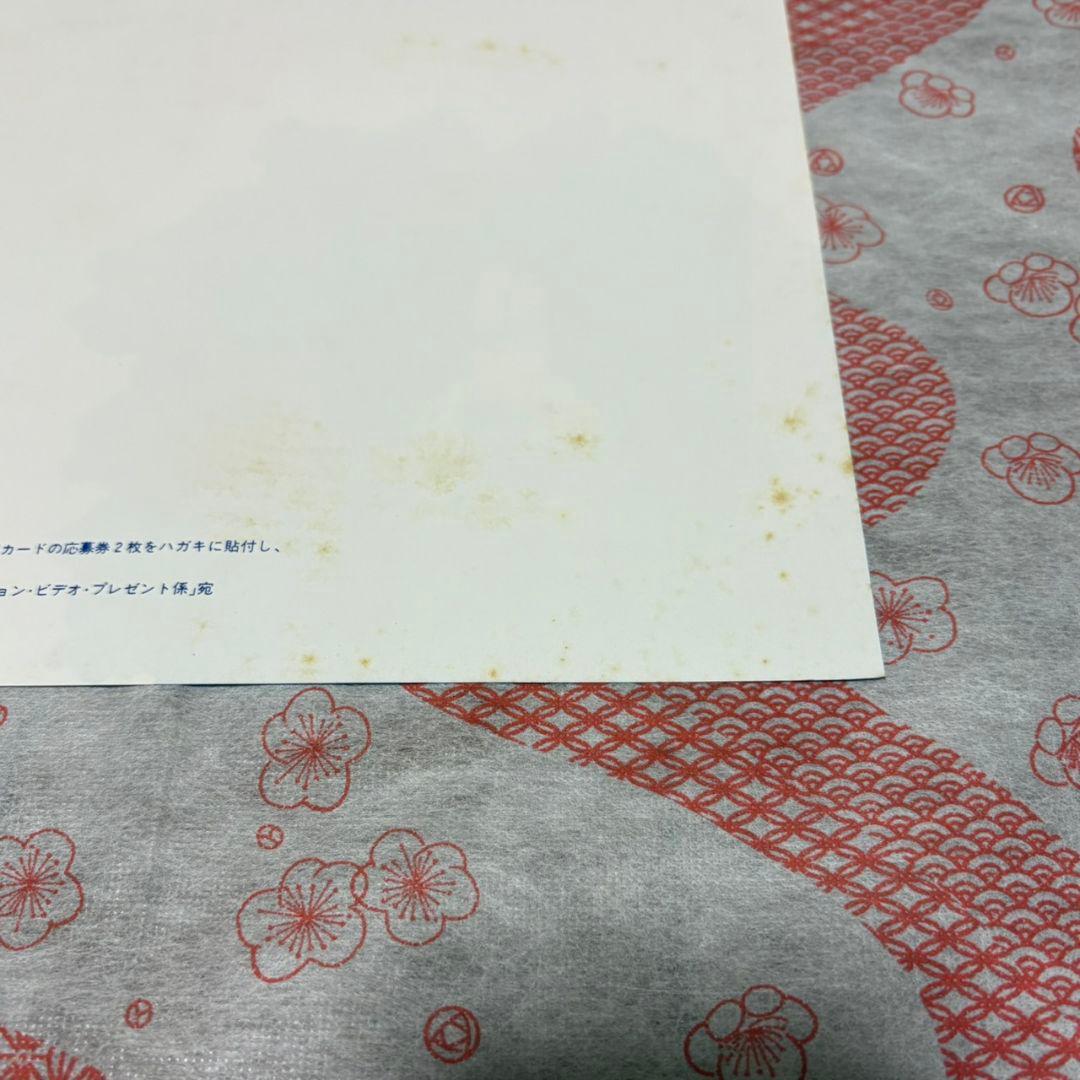 ROSE OR LOSE THE WILLARD 見本盤 アナログレコード LP