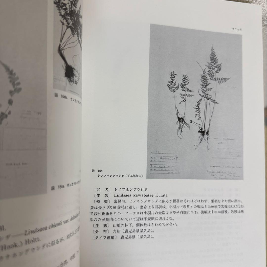 新日本植物誌シダ編　改訂増補版